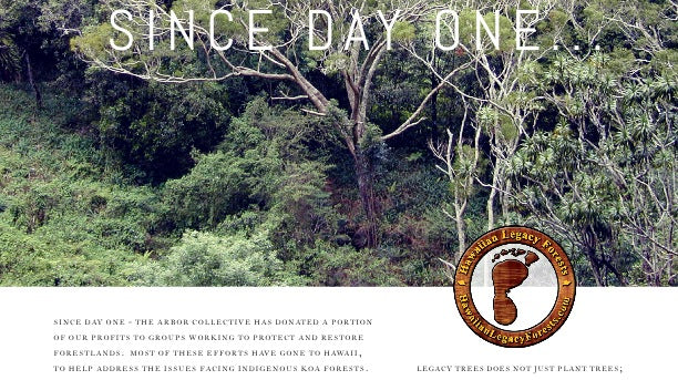 Portugal Road Trip Gallery