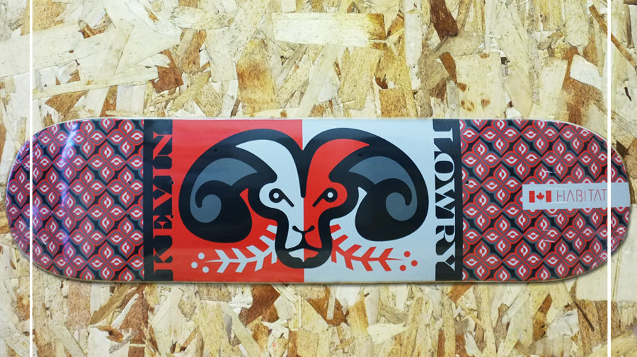 Kevin Lowry - Big Horn