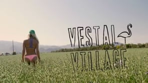Vestal Village 2015
