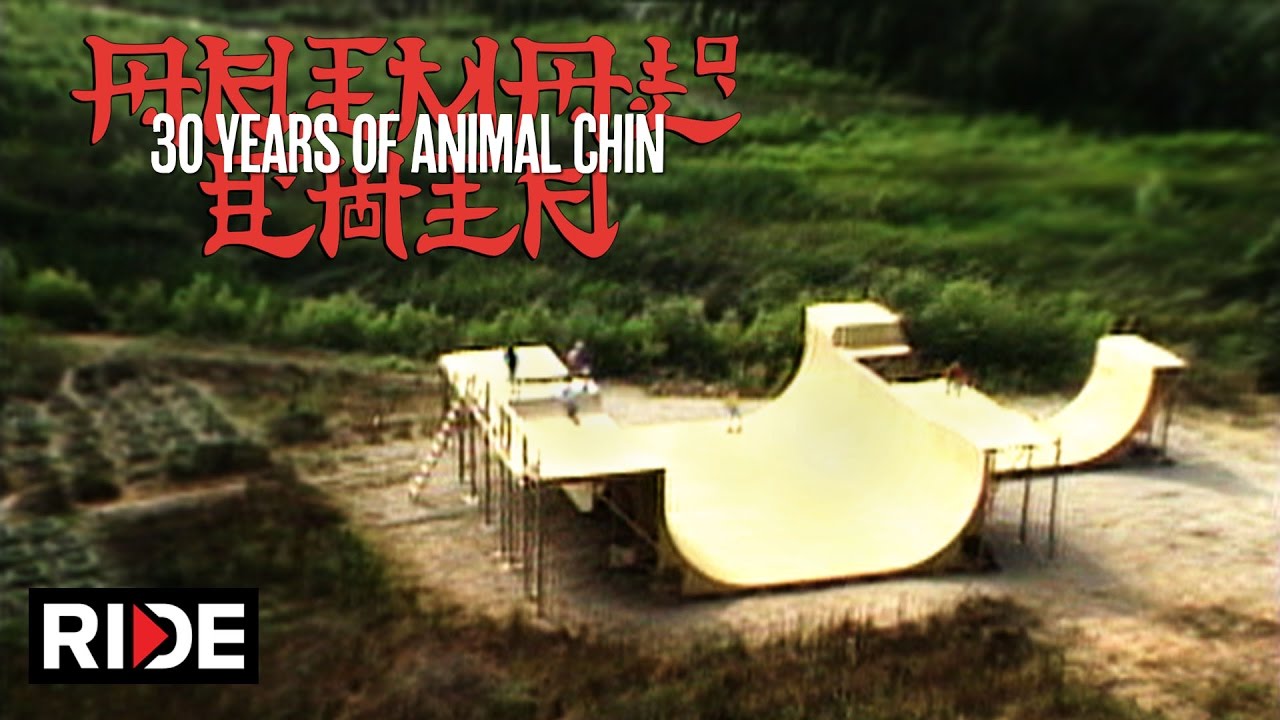 30 Years of Animal Chin - Building The Chin Ramp