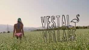 Vestal Village 2015